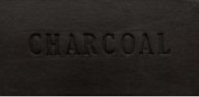 Aardvark Clay Charcoal Cone 5