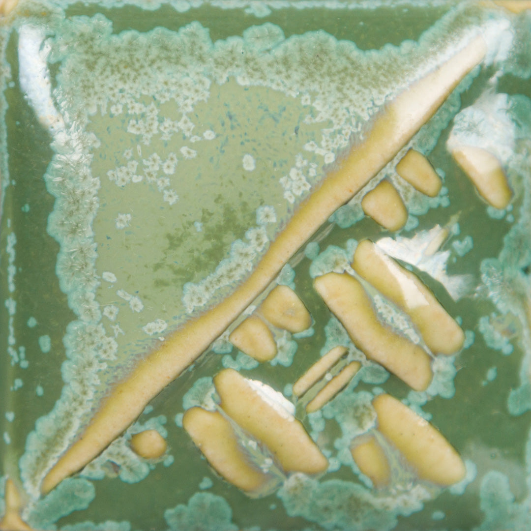 Mayco Glaze SW-193 炻器常春藤（16 液量盎司）